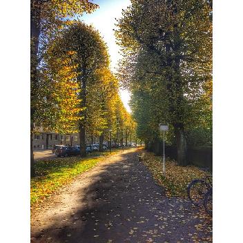2014-10-28 13:48:57