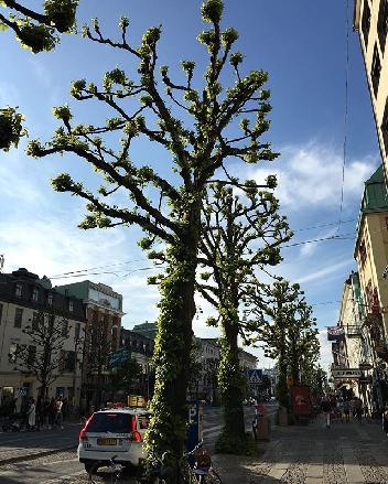 2016-05-26 22:18:57