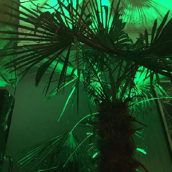 2015-11-01 01:42:44