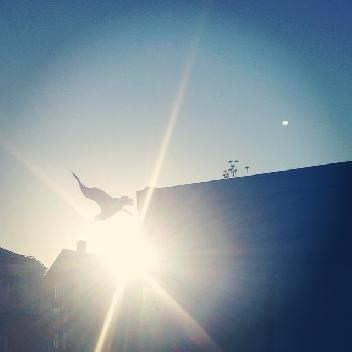 2014-07-09 19:35:33