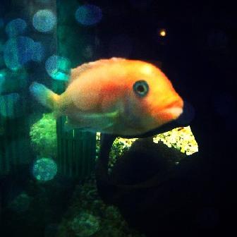 2011-11-05 22:34:57