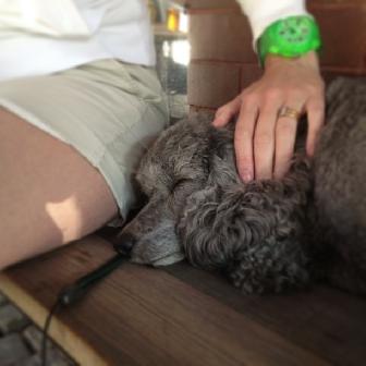 2013-07-21 16:40:25